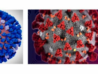 simulaciones masivas del Coronavirus