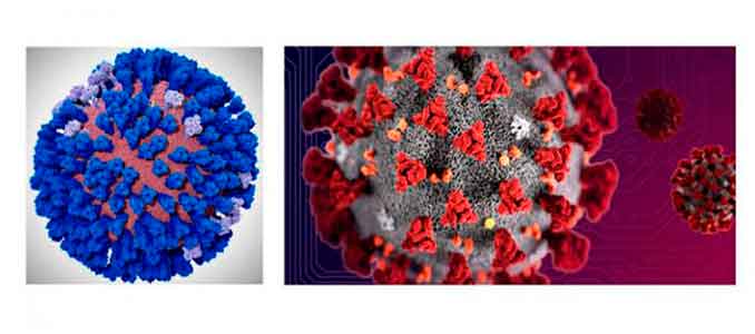 simulaciones masivas del Coronavirus