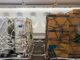 Airbus solución flexible de carga