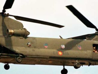 Chinook