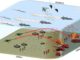 DARPA