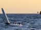 USV