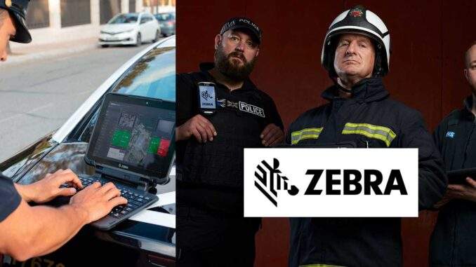 Zebra